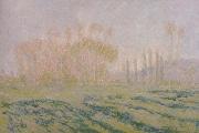Claude Monet Meadow with Poplars USA oil painting artist